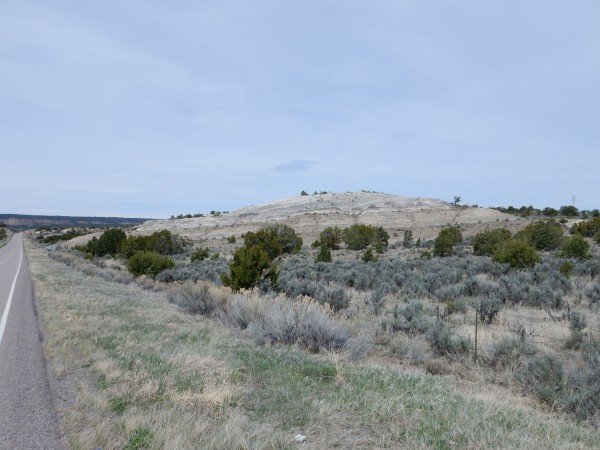 Kirtland and Fruitland Formations near
        Cuba