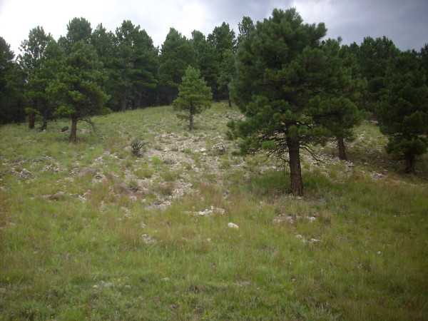 Early lacustrine deposits