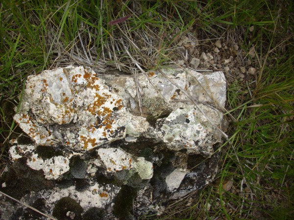 Silicified lake
          bed sediments