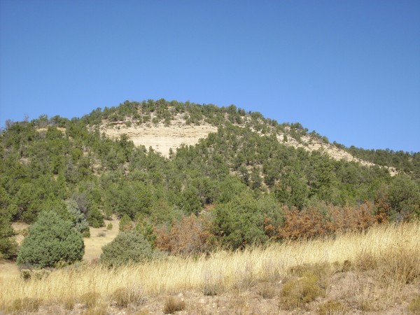 Cliffs of Abiquiu
        Formation