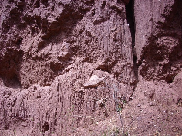 Abo Formation mudstone
