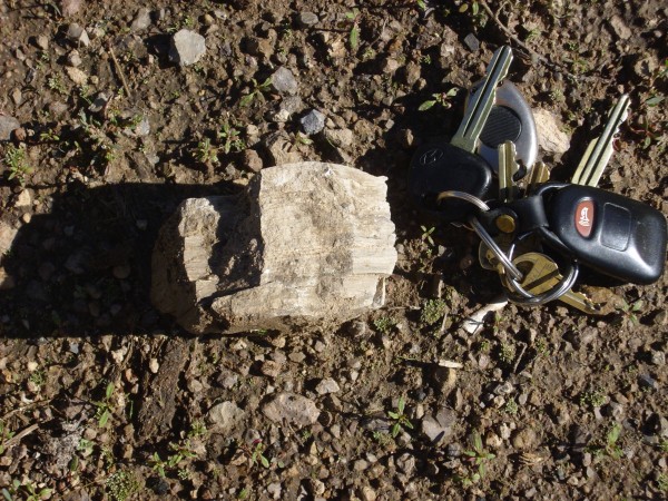 Flow-banded rhyolite of Cerros del Abrigo