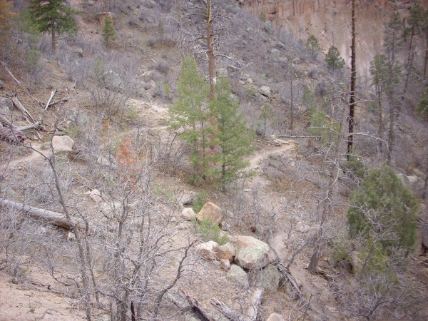 Slope
            at base of cliffs in Pueblo Canyon