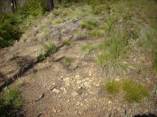 Bearhead Rhyolite dike in Paliza Canyon Formation