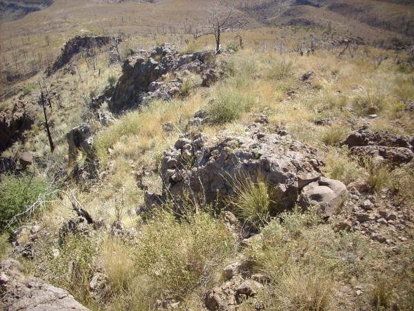 Canovas Canyon Rhyolite