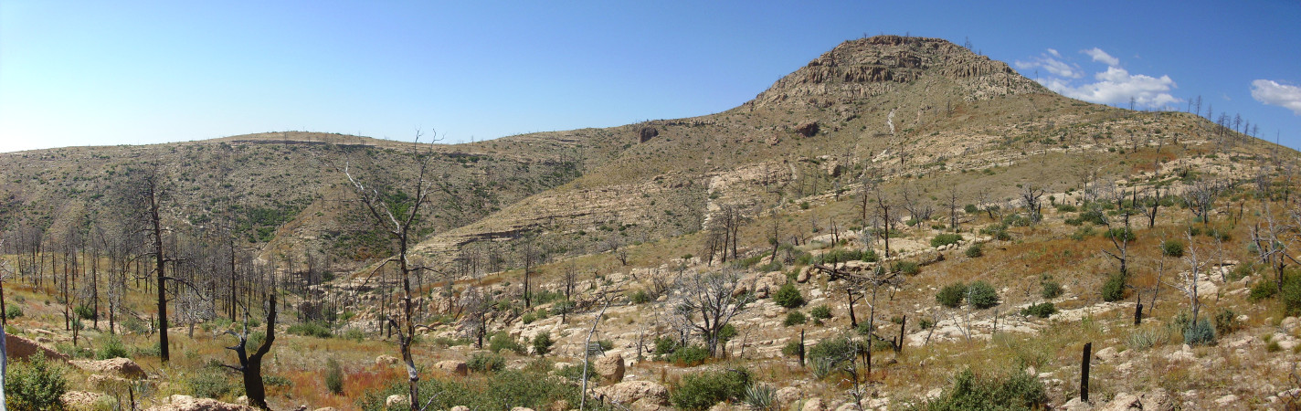 Southeast
          flank of Cerro Balitas