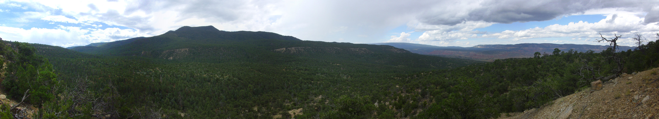 Cretaceous
          panorama