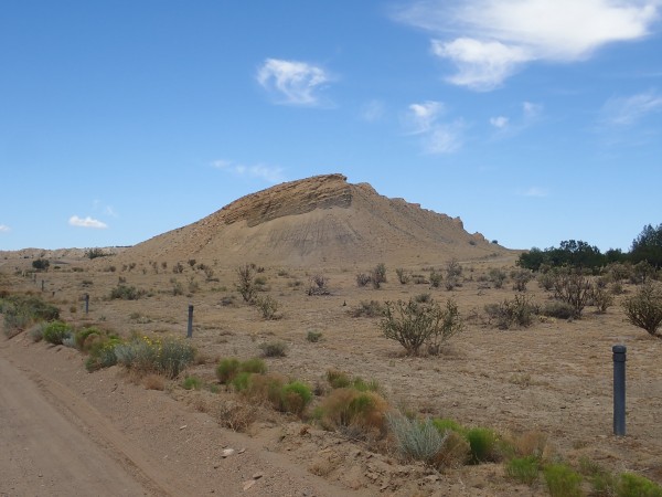 Dakota Formation
          south of White Mesa