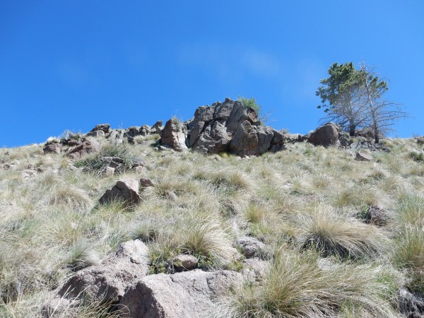 La
          Grulla andesite on Valles north rim
