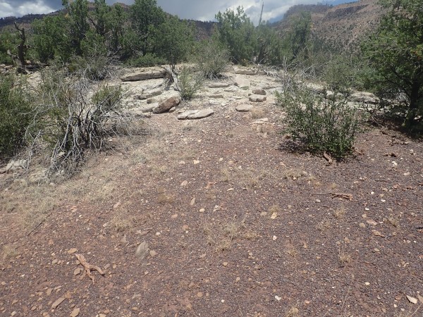 Osha
          Canyon Formation