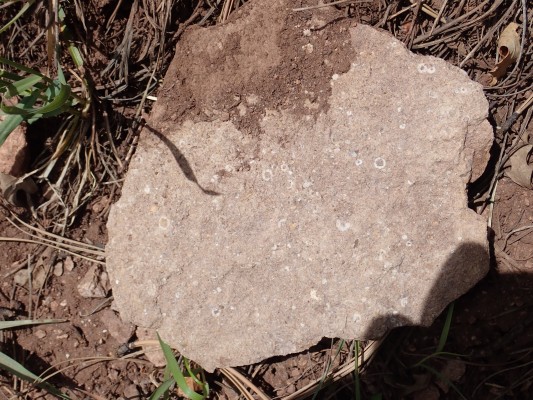 Arkosic
          limestone of Madera Formation