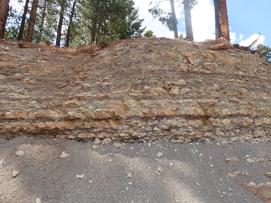 Madera Formation in northwest Jemez