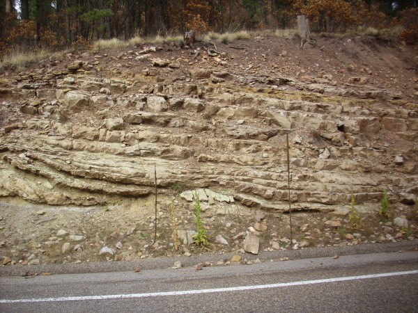 Madera Formation in northwest Jemez
