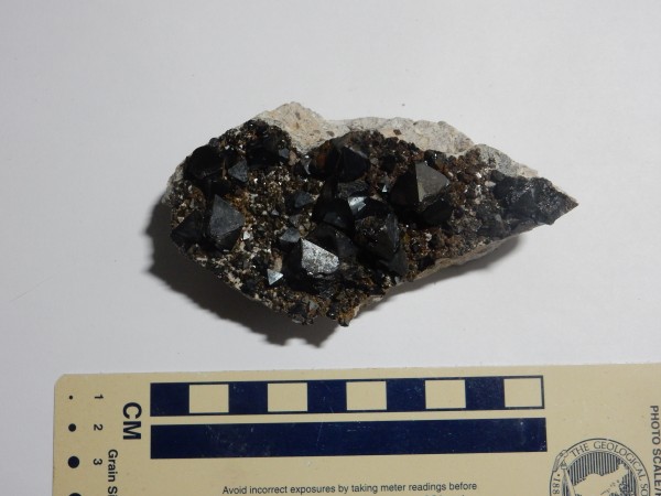 Nest of magnetite
          crystals
