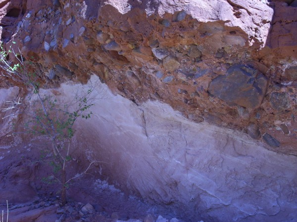 Contact between
        Morrison Formation and El Rito Formation