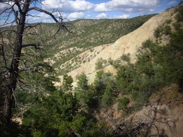 Morrison
          Formation in upper Mushroom Canyon