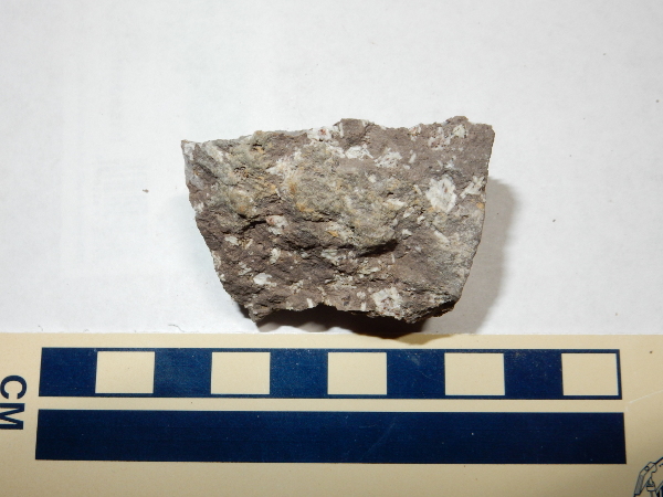 Hornblende dacite
          sample