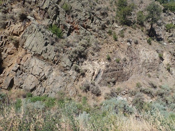 Contact of Pilar
          Formation with Piedra Lumbre Formation