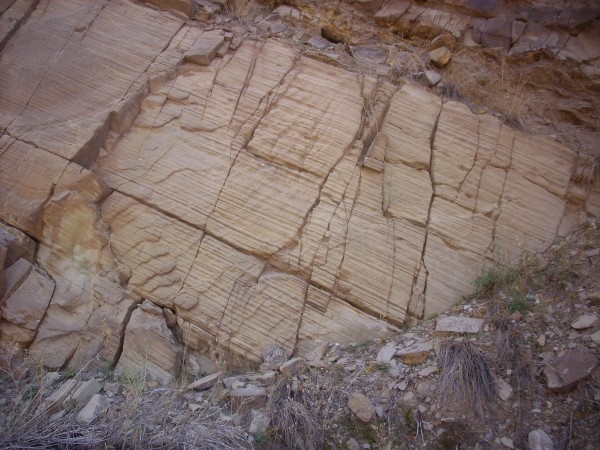Poleo Sandstone at Nacimiento Mine