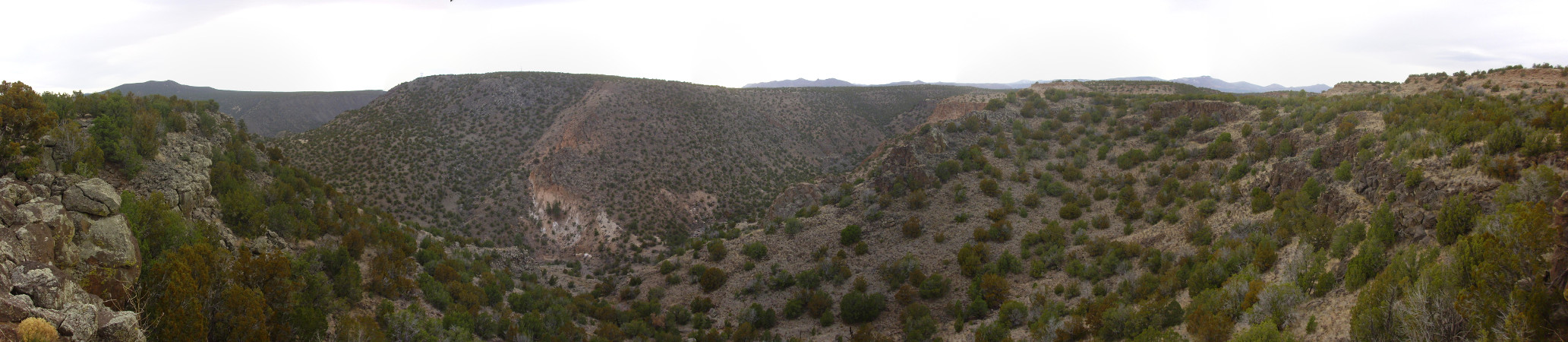 Potrillo
          Canyon panorama