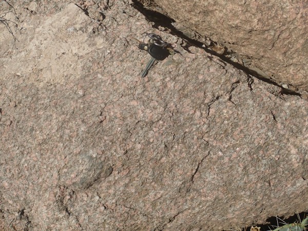 Puntiagudo
          granite porphyry