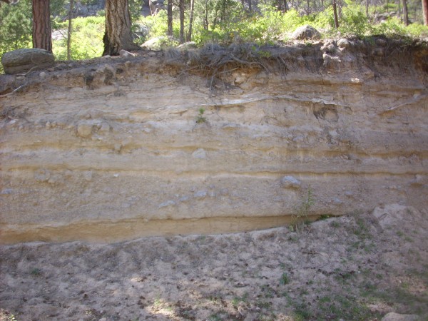 Puye Formation in
          the Vallecitos area