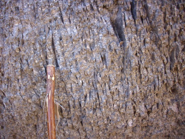 Cabra Canyon
          flow-banded dacite