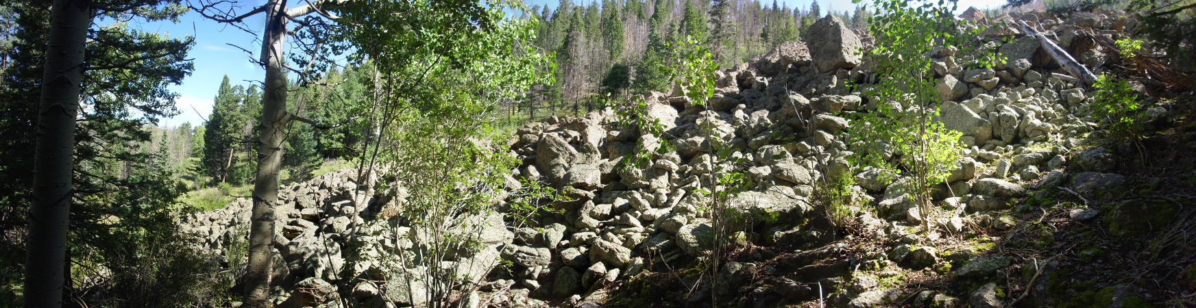 Rock glacier flanks