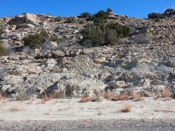 Dakota
          Formation atop Morrison Formation at Galisteo Dam