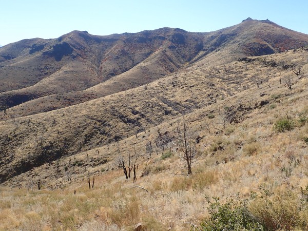 Bedding of San Miguel
          Mountains