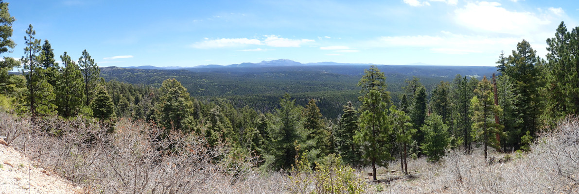 View of
          caldera from San Pedro Mountains
