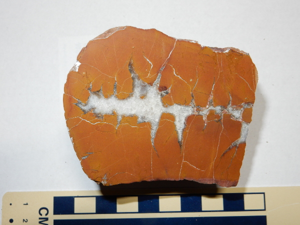 Septarian nodule from Salitral
          Formation