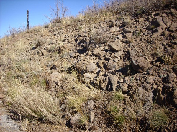 Paliza Canyon andesite