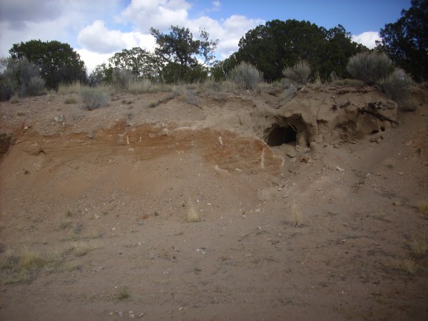 Contact
          between Tesuque and Ancha Formations