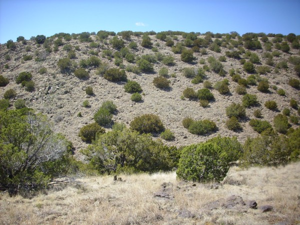 Face of andesite flow