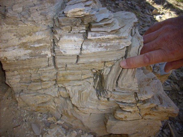 Todilto Formation showing fault zone deformation