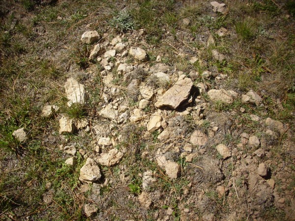 Santa Fe Group
          sediments