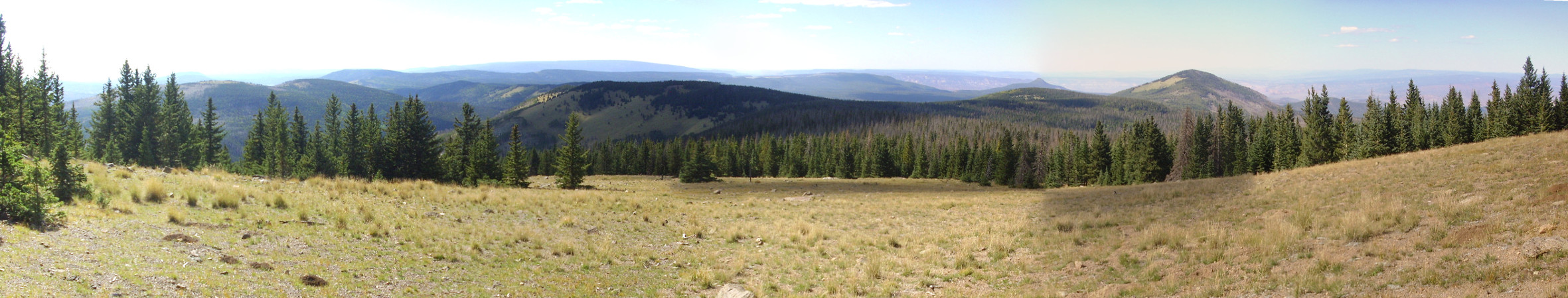 View west of
          Tschicoma Peak