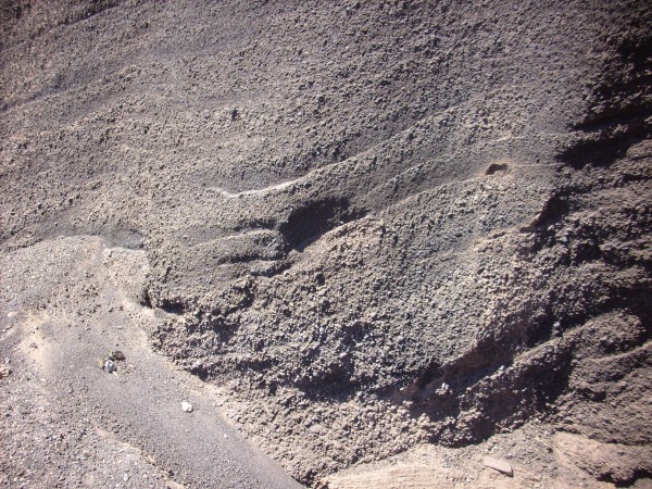 Beds
          in cinder cone