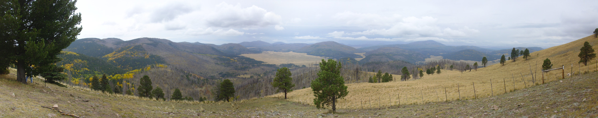 Valles Caldera north moat